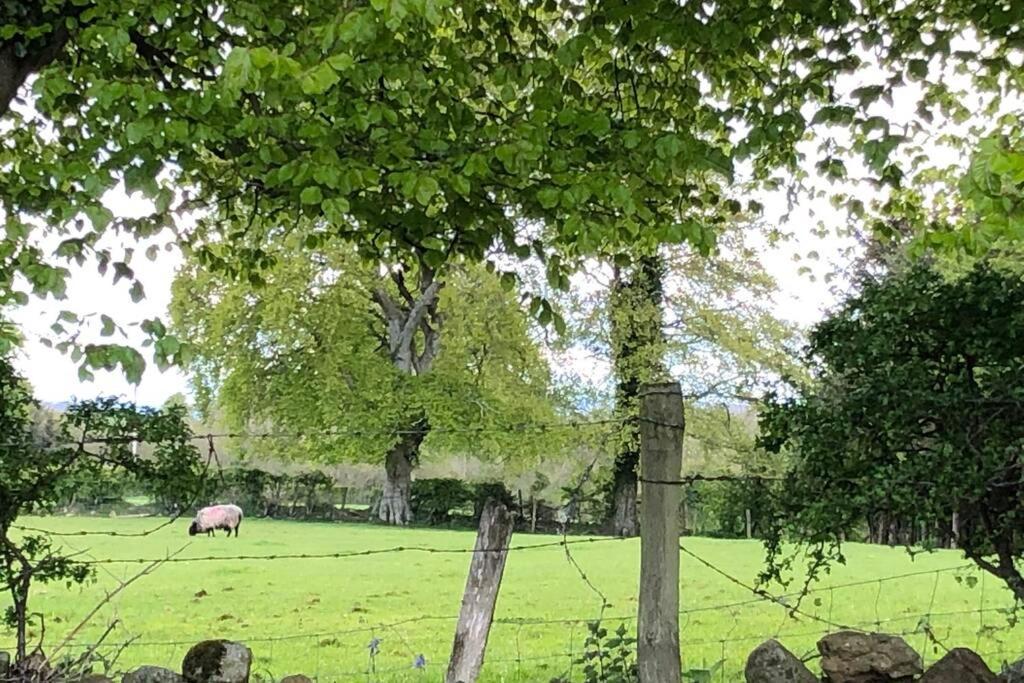 Ballyheifer House - A Beautiful 5 Bedroom Home. *